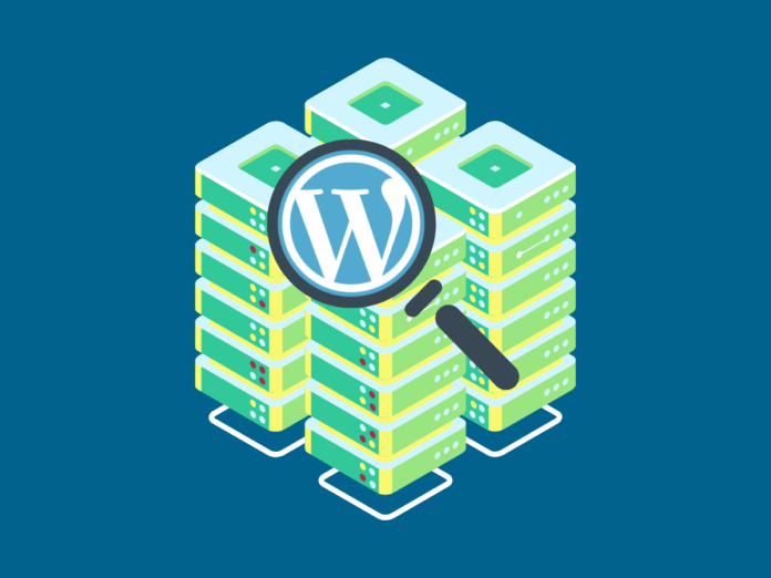 Image of a magnifying glass inspecting a group of servers to find the best WordPress hosting in south africa